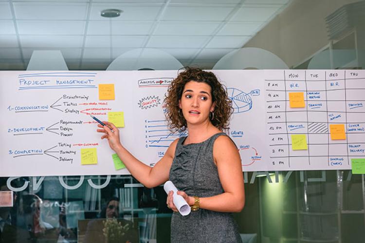 Project Management course visual